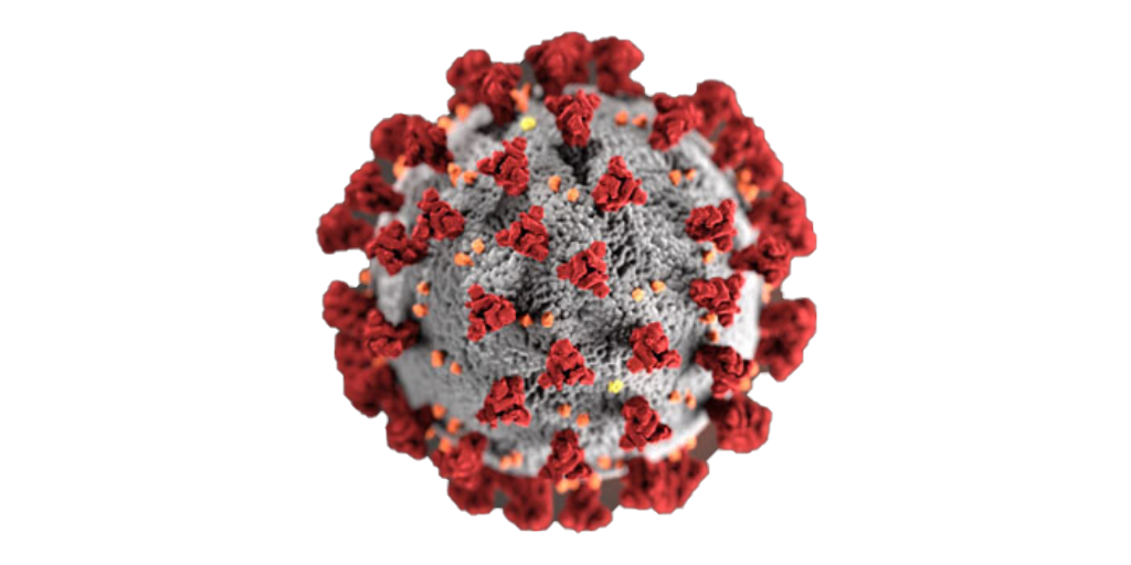 Image of Coronavirus Cell